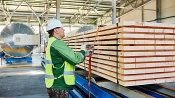 За ответственное управление лесами